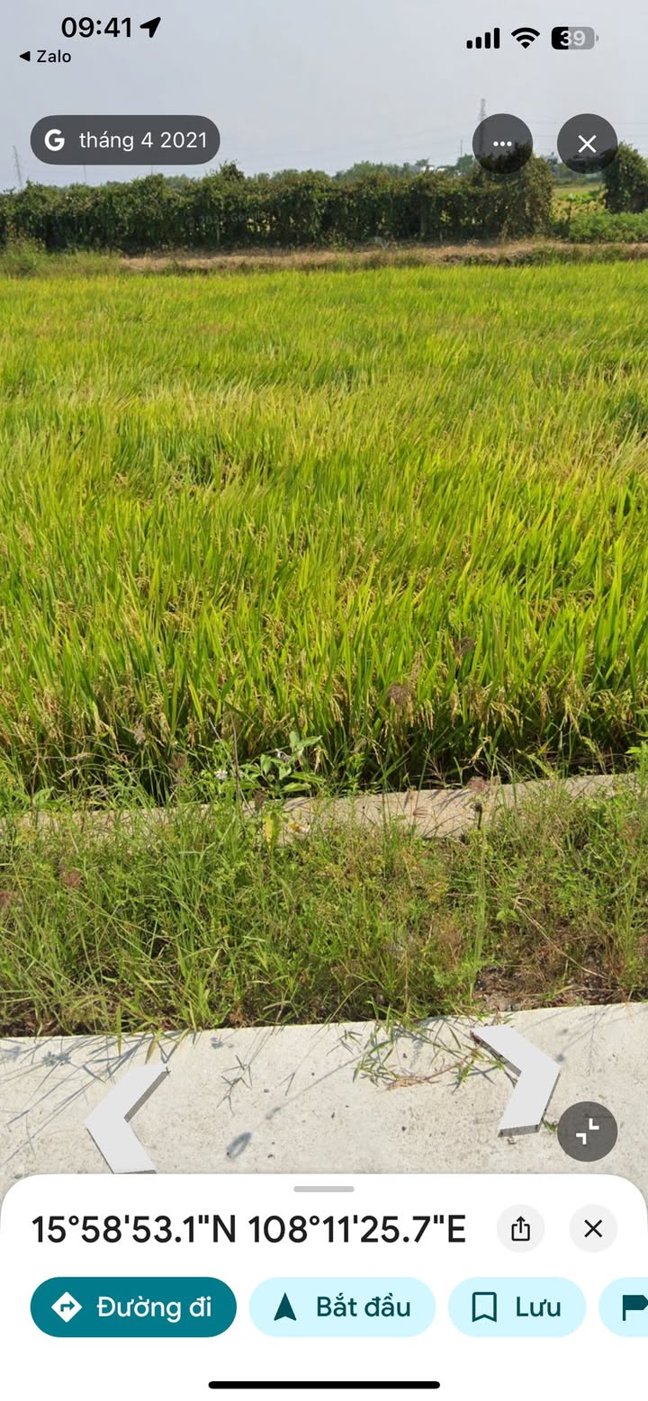 Đất nền Hòa Châu 160m² giá 3.45 tỷ - Không gian sống trong lành