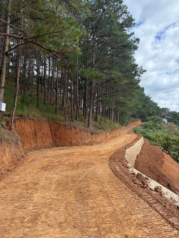 Đất Mê Linh - Nam Ban, Lâm Hà 1000m² giá 649 triệu - Không gian nghỉ dưỡng lý tưởng!