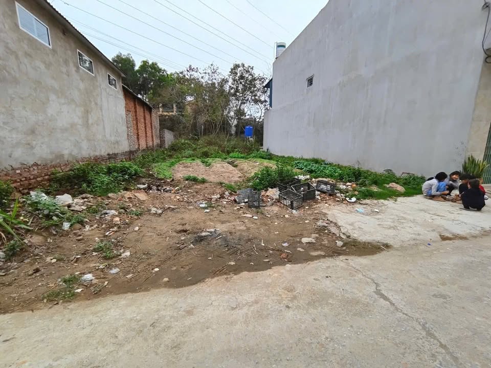 Đất nền Dĩnh Trì, Bắc Giang 85m² giá 1.6 tỷ - Đầu tư sinh lời ngay!