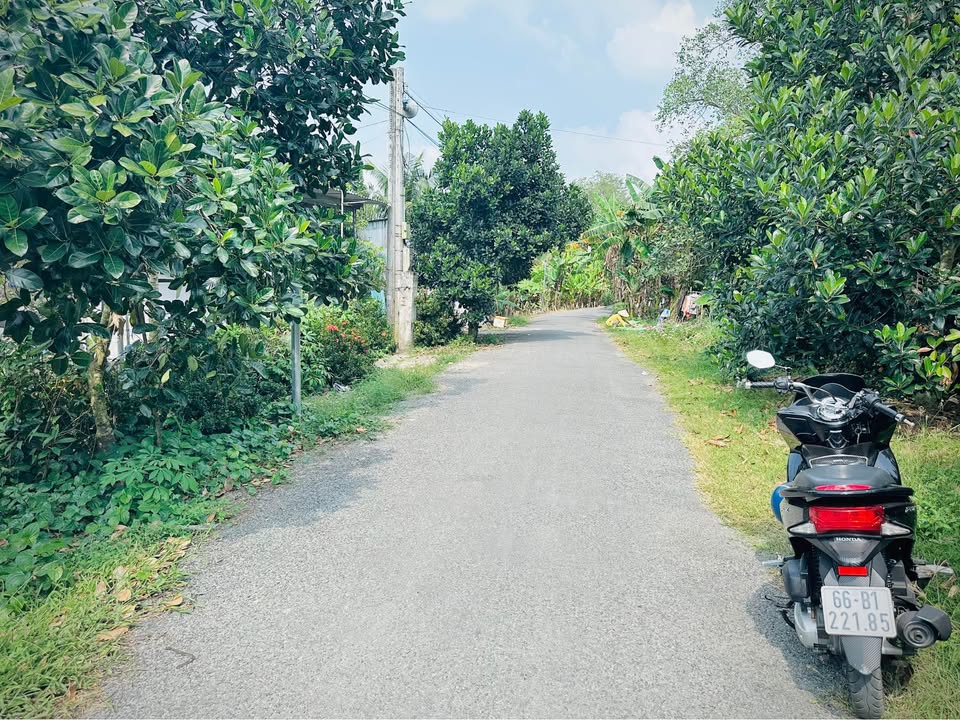 Bán đất nền mặt tiền đường nhựa xã Mỹ Hiệp 200m² - Giá thỏa thuận, pháp lý rõ ràng!