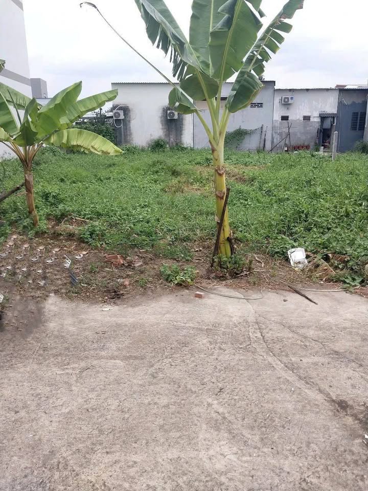 Đất nền phường Trung An, TP Mỹ Tho 105m² giá 950 triệu - Vị trí đắc địa, đầu tư sinh lời!