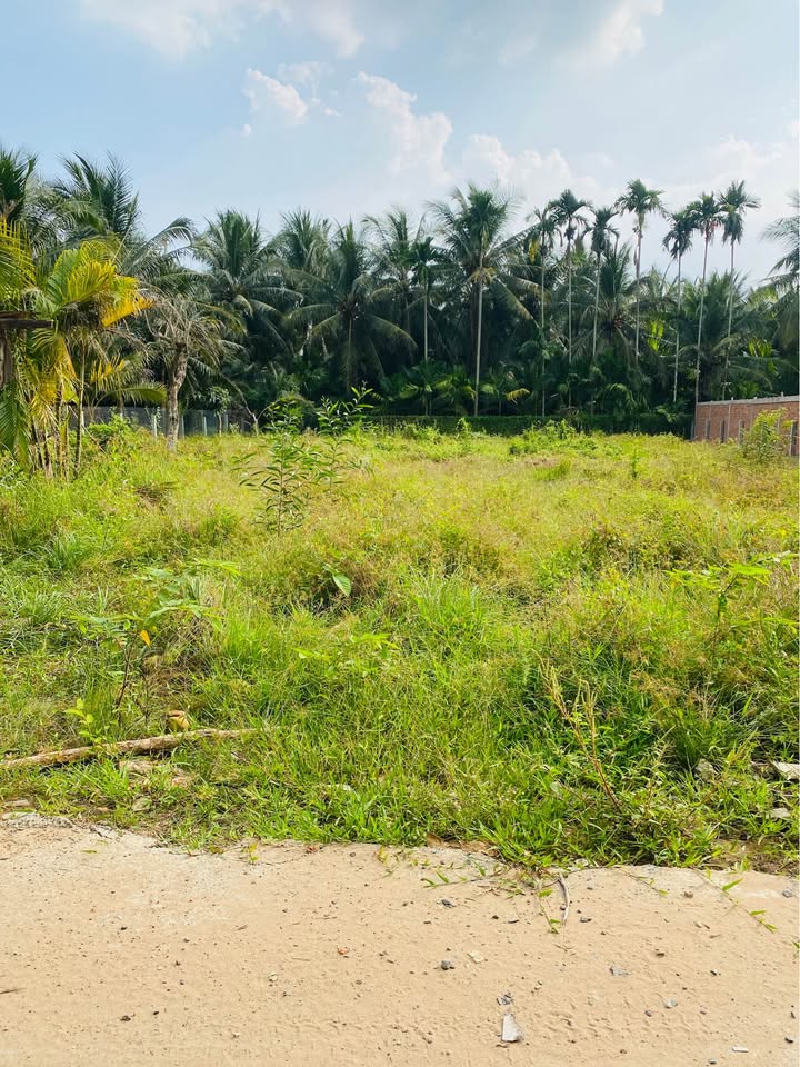 Đất nền phường Trung An, Mỹ Tho 184m² giá 720 triệu - Cơ hội đầu tư tuyệt vời!