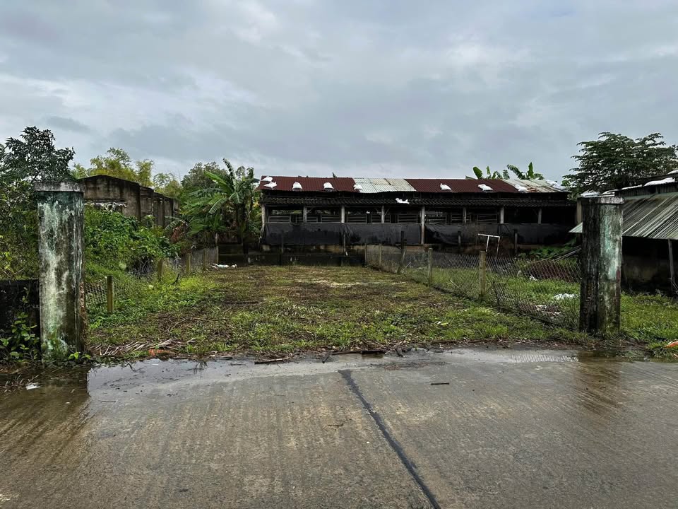 Đất nền Hòa Xuân 120,3m² giá 2,55 tỷ - Cơ hội đầu tư sinh lời nhanh!