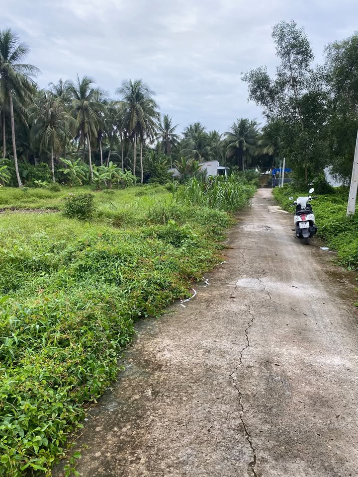 Đất nền 100m² Ấp Ô Chích, Châu Thành - Chính chủ, giá chỉ 220 triệu!