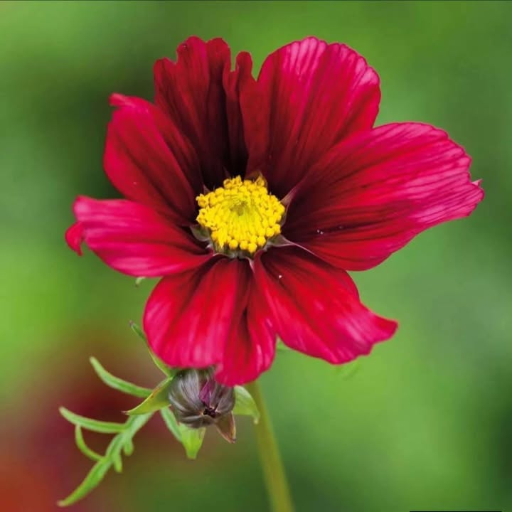 Đất mặt tiền đường Phạm Văn Lại, phường 6, Tân An, 144m² giá 2.5 tỷ - Cơ hội đầu tư tốt!