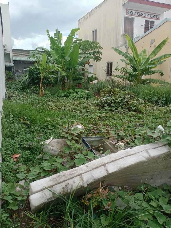 Lô đất thổ cư Cư xá P3, Tân An, 136m² - Vị trí đẹp, giá 3.2 tỷ!