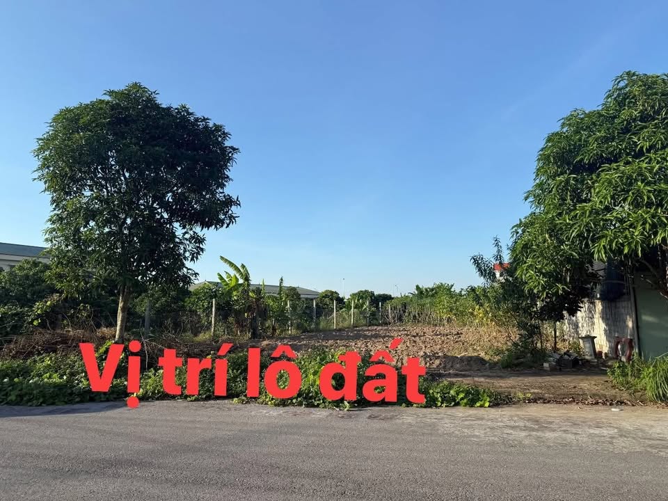 Đất đấu giá Phan Sào Nam Phù Cừ 130m² giá chỉ 2 tỷ - Kinh doanh ngay!