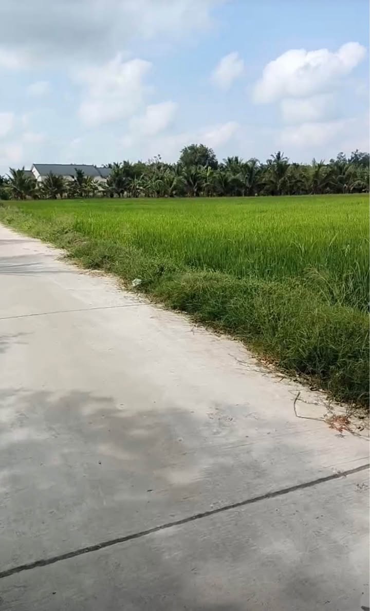 Đất mặt tiền Đường Đal Ô Tô 1156m² giá 250 triệu - Chính chủ bán gấp!