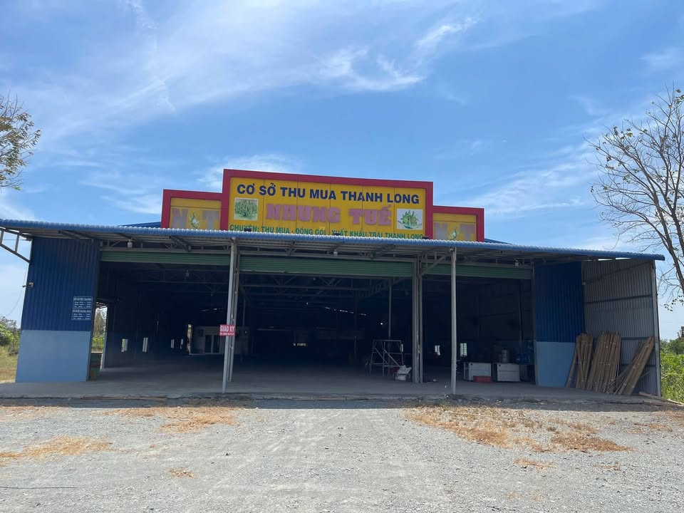 Kho bãi Thanh Long, Tân Thuận, Hàm Thuận Nam 3000m² - Đầu tư sinh lời ngay!