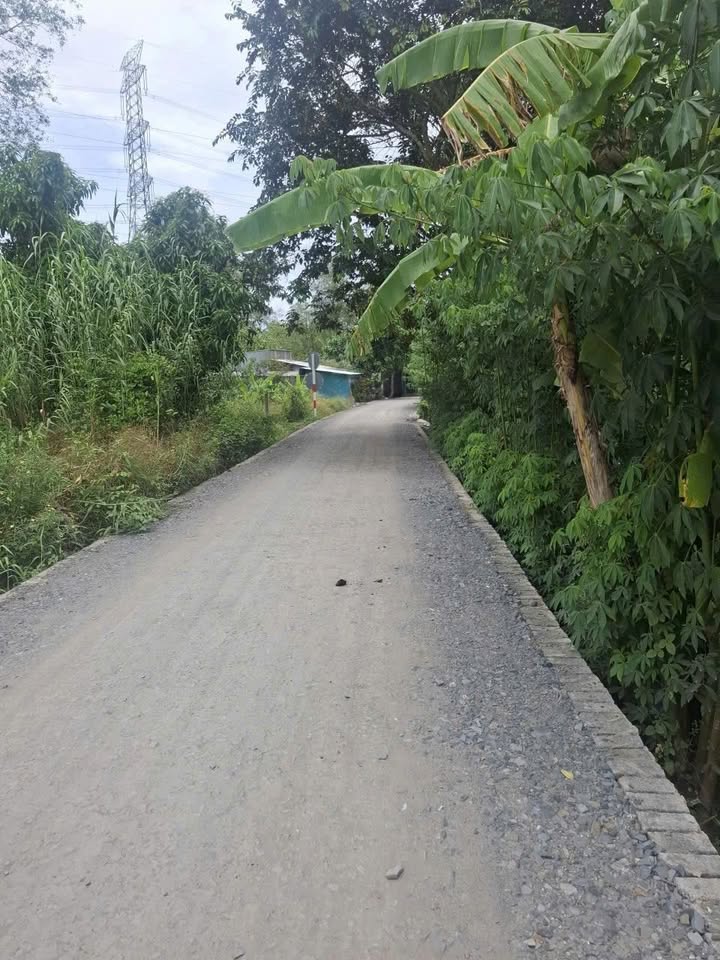 Đất nền Phước Thới Ô Môn 87m² giá thỏa thuận - Đường lộ 4m, vị trí tiềm năng!