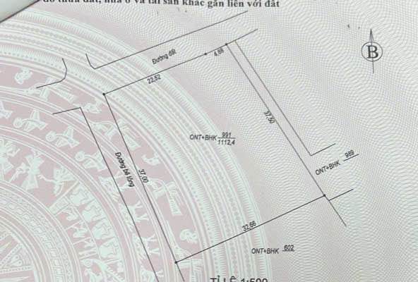 Đất ở Nam Trạch Bố Trạch 1184m² giá chỉ 6.486 tỷ - Tiềm năng đầu tư tốt!