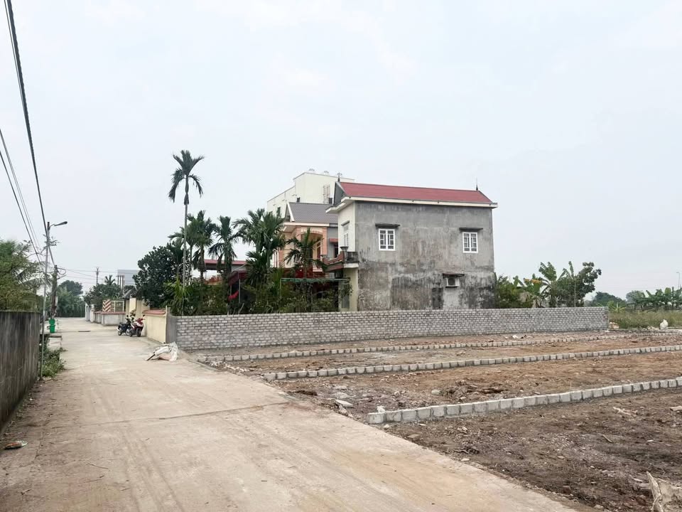 Đất nền An Quý, Quỳnh Phụ 100m² giá chỉ 80 triệu - Đường rộng ô tô tránh nhau!