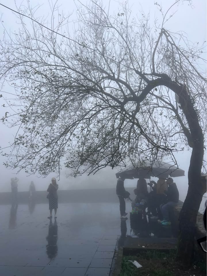 Đất nền thổ cư Ea Kao Buôn Ma Thuột 1800m² - Giá đầu tư hấp dẫn!