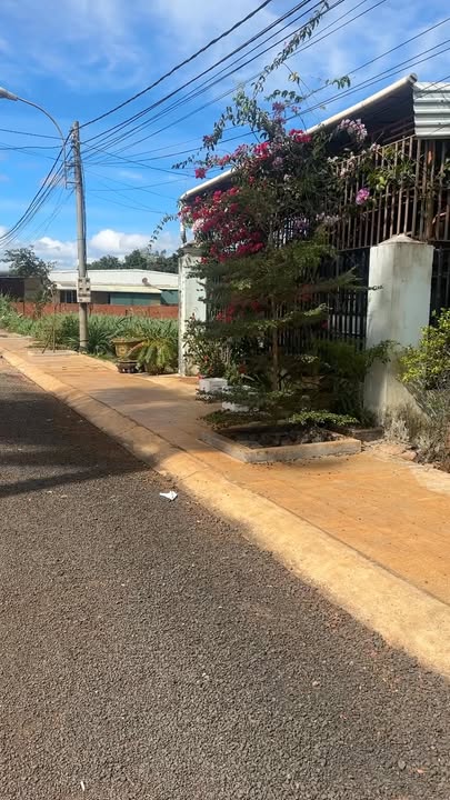 Đất thổ cư Chư Pưh - Gia Lai 210m² giá 700 triệu - Cơ hội đầu tư tuyệt vời!