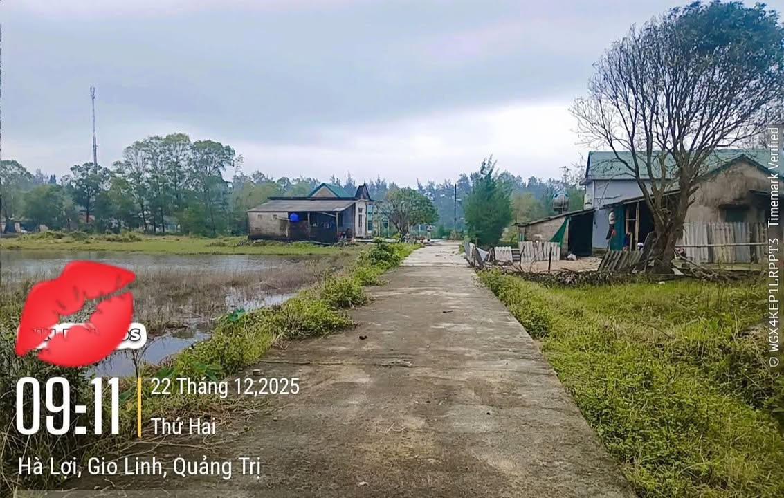 Đất nền Trung Giang, Gio Linh 144m² giá chỉ 300 triệu - Đầu tư sinh lời ngay!