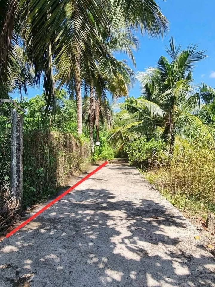 Đất nền Hữu Định, Bến Tre 252m² giá 850 triệu - Đầu tư sinh lời ngay!