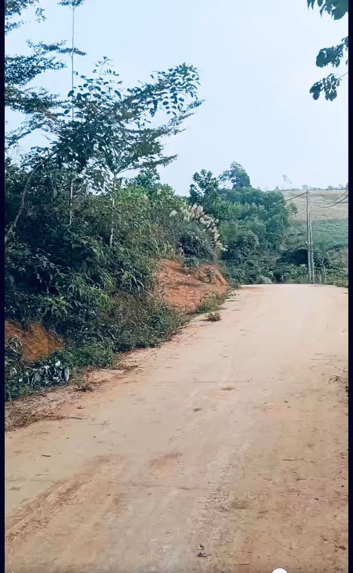 Đất nghỉ dưỡng Yên Bài, Ba Vì 4000m² - View núi Tản Viên tuyệt đẹp!