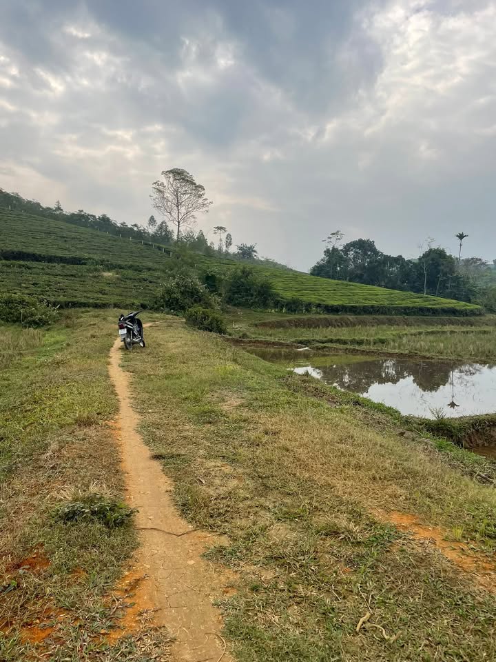 Đất nông nghiệp Văn Miếu Thanh Sơn 2600m² giá 900 triệu - Sổ hồng chính chủ sẵn sàng!