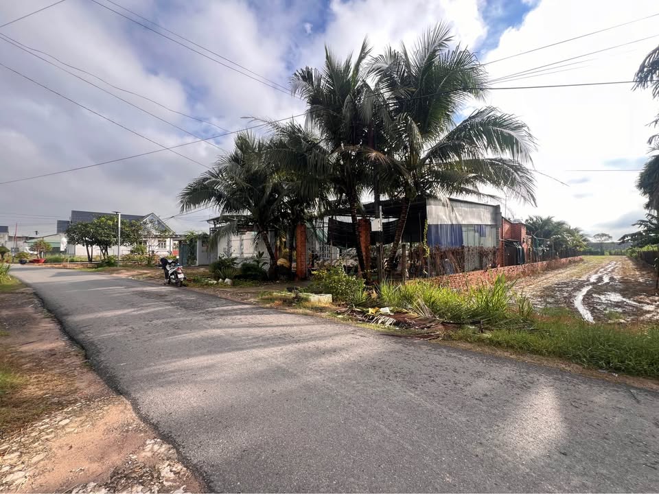 Đất thổ cư 553m² đường ĐT 782 Gò Dầu chỉ 7.124 tỷ - Sổ hồng riêng, cơ hội đầu tư tuyệt vời!