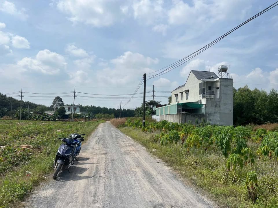 Đất nền Tam Phước Biên Hòa 95m² giá chỉ 800 triệu - Cơ hội đầu tư hấp dẫn!