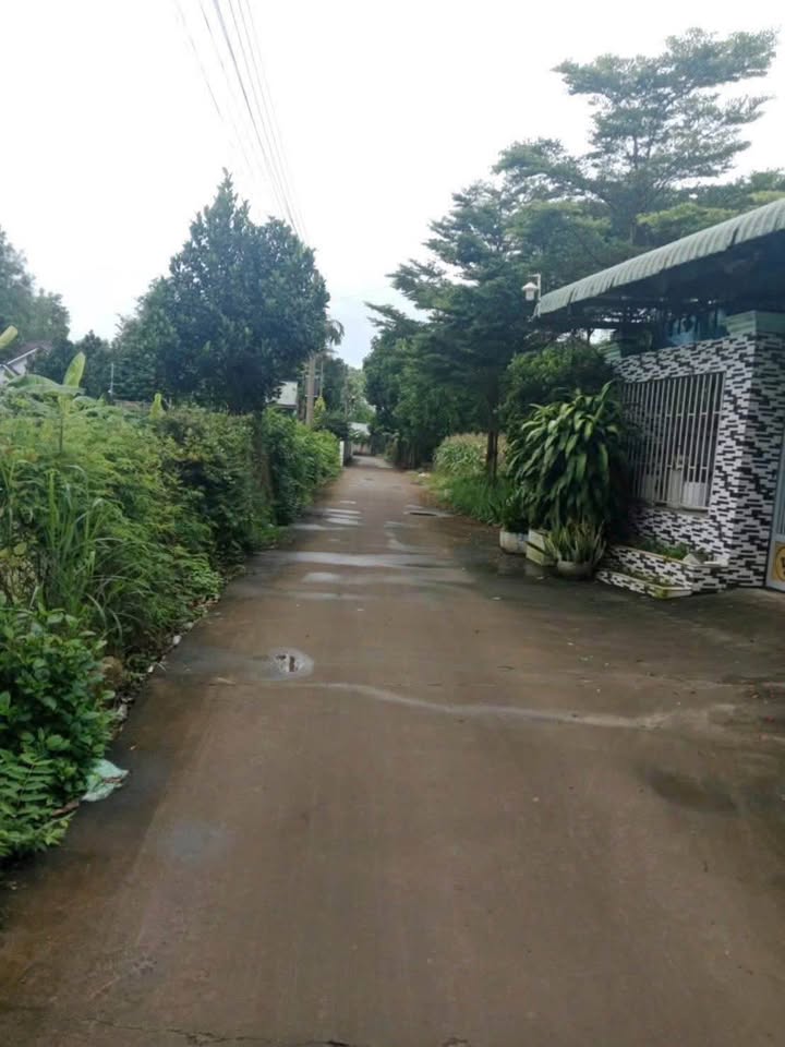 Đất nền Trảng Bom 430m² giá 1.05 tỷ - Sổ riêng thổ cư, xây dựng nhà vườn!