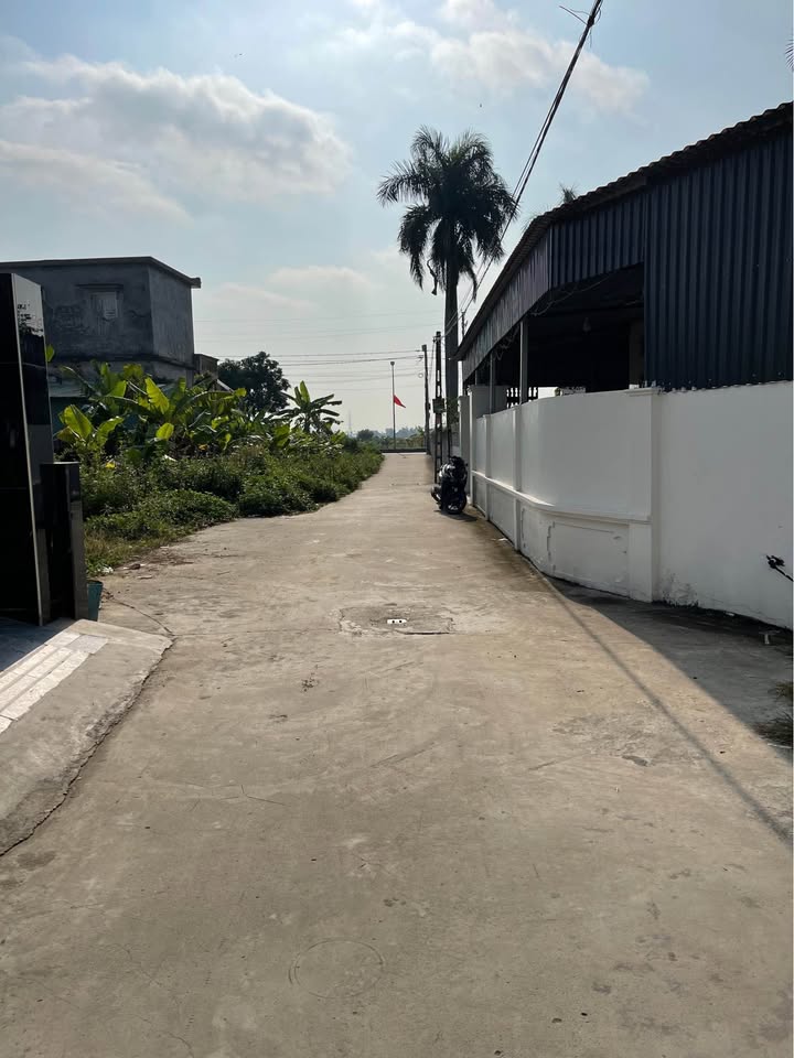 Đất nền Nhu Kiều, An Dương 55m² giá 500 triệu - Chính chủ bán nhanh!