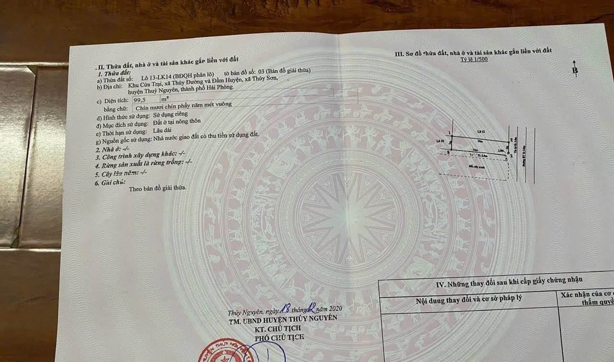 Đất nền Thủy Đường, Thủy Nguyên 99,5m² - Hướng Đông đẹp, giá thỏa thuận!
