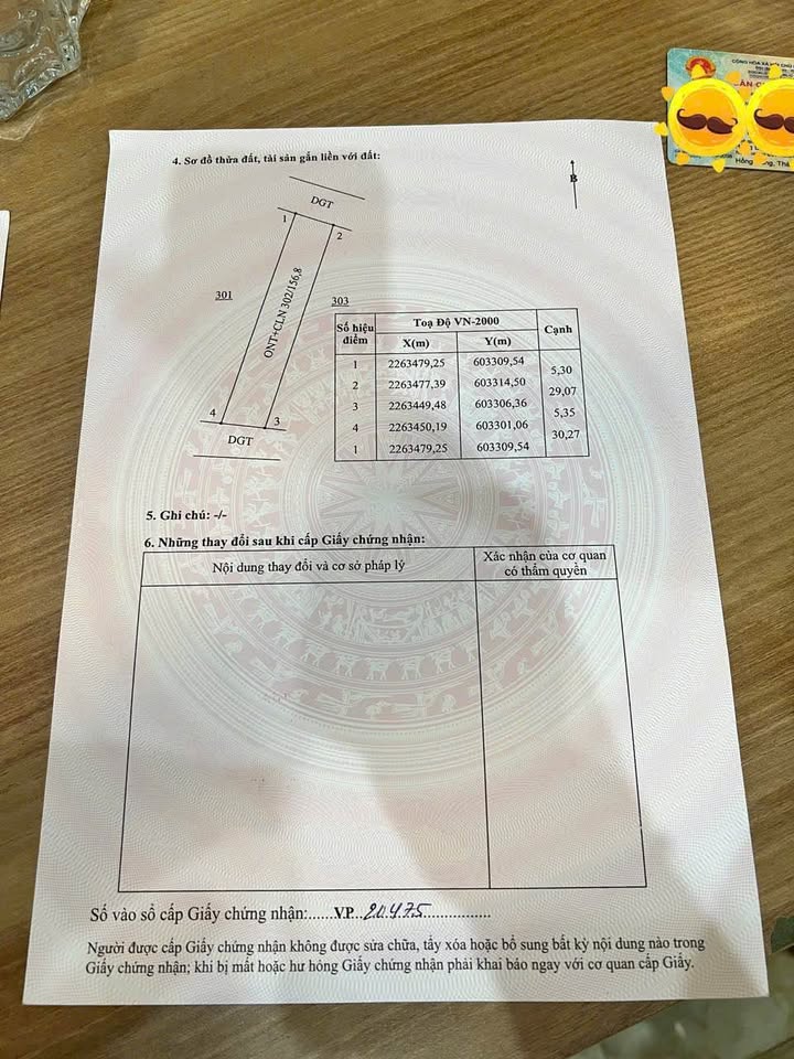 Đất 2 mặt đường Thuần Thành Thái Thụy 156.8m² - Cơ hội đầu tư tuyệt vời!