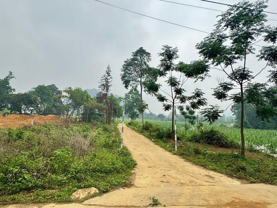 Đất nền Phong Quang, Vị Xuyên 1.700m² giá 290 triệu - Cơ hội đầu tư tuyệt vời!