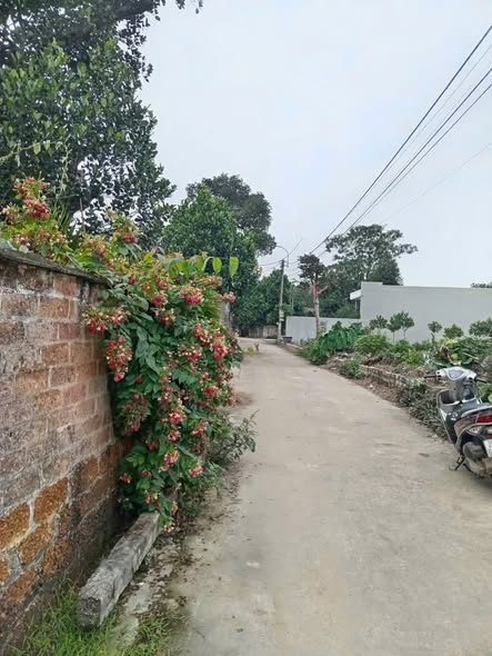 Đất nền Đoài Phương, Ba Vì 263m² giá 4.47 tỷ - Cơ hội đầu tư hấp dẫn!