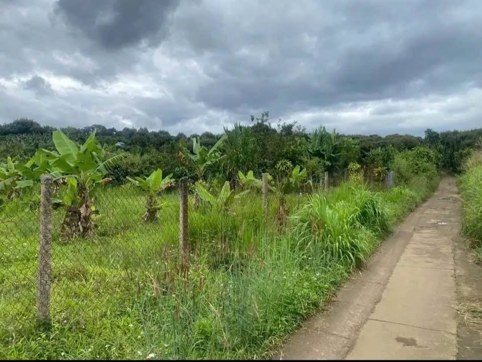 Đất nền Hòa Nam Di Linh 1600m² giá 600 triệu - Đầu tư hiệu quả ngay hôm nay!