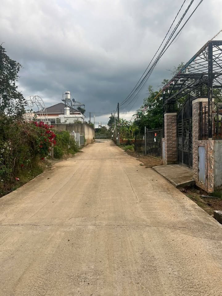 Đất hẻm Đinh Công Tráng Đà Lạt 1200m² giá 4.2 tỷ - Chính chủ cần bán gấp!