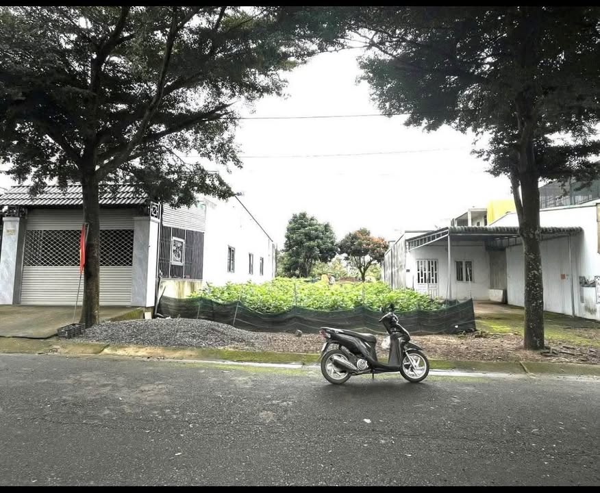 Đất nền Tố Hữu Lộc Sơn Bảo Lộc 117.5m² giá 1.65 tỷ - Đường rộng, mát mẻ quanh năm!