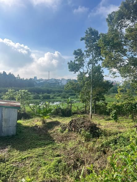 Biệt thự đuôi giáp hồ Nam Phương 569m² giá 3.2 tỷ - Cơ hội đầu tư hấp dẫn!