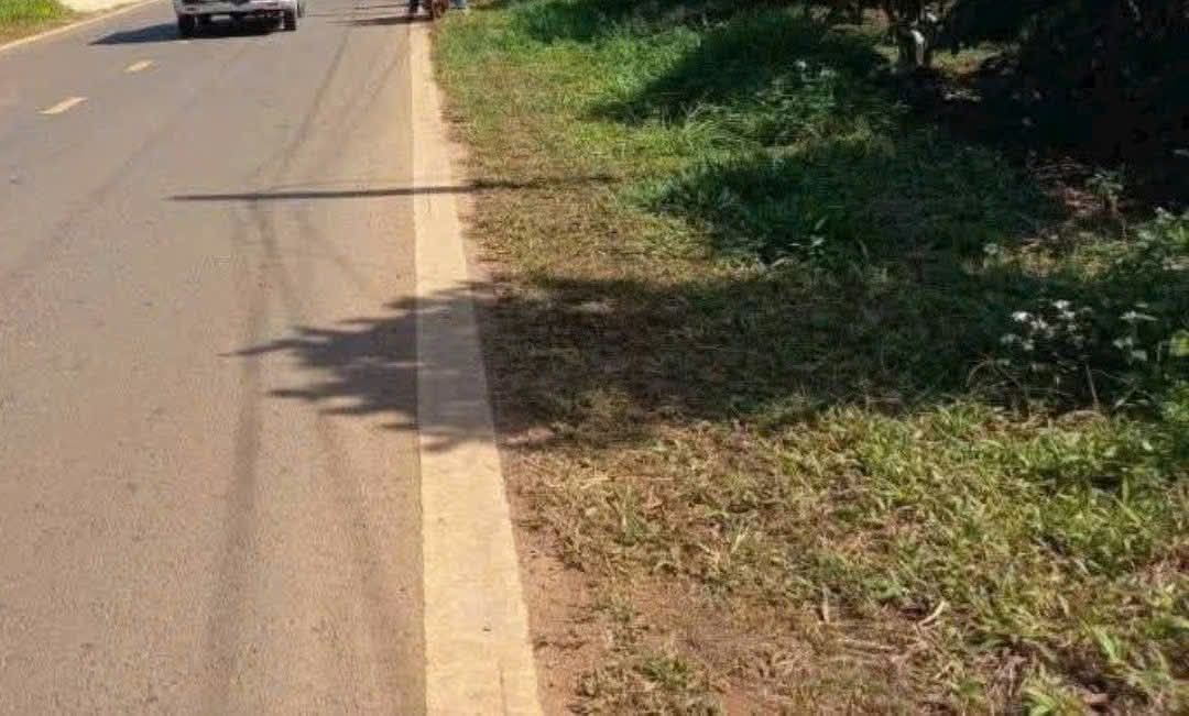 Đất mặt tiền tỉnh lộ 725 xã Lộc Ngãi 280m² giá 1.55 tỷ - Nhanh tay sở hữu!