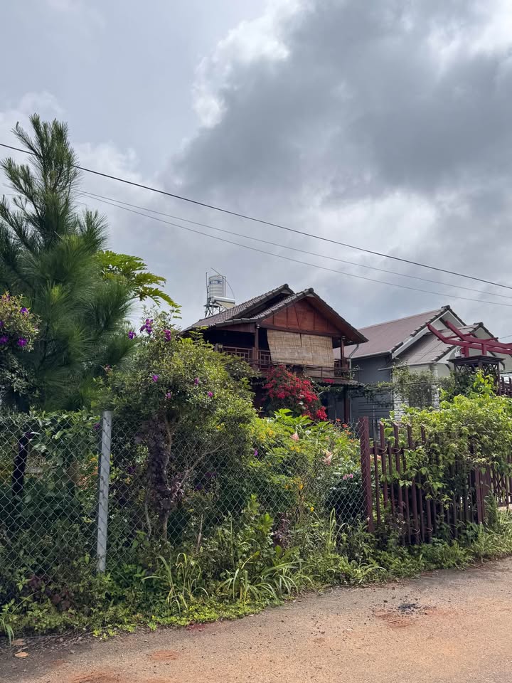 Lô đất An Hoà, Lộc An 110m² giá chỉ 530 triệu - Sổ hồng chính chủ!