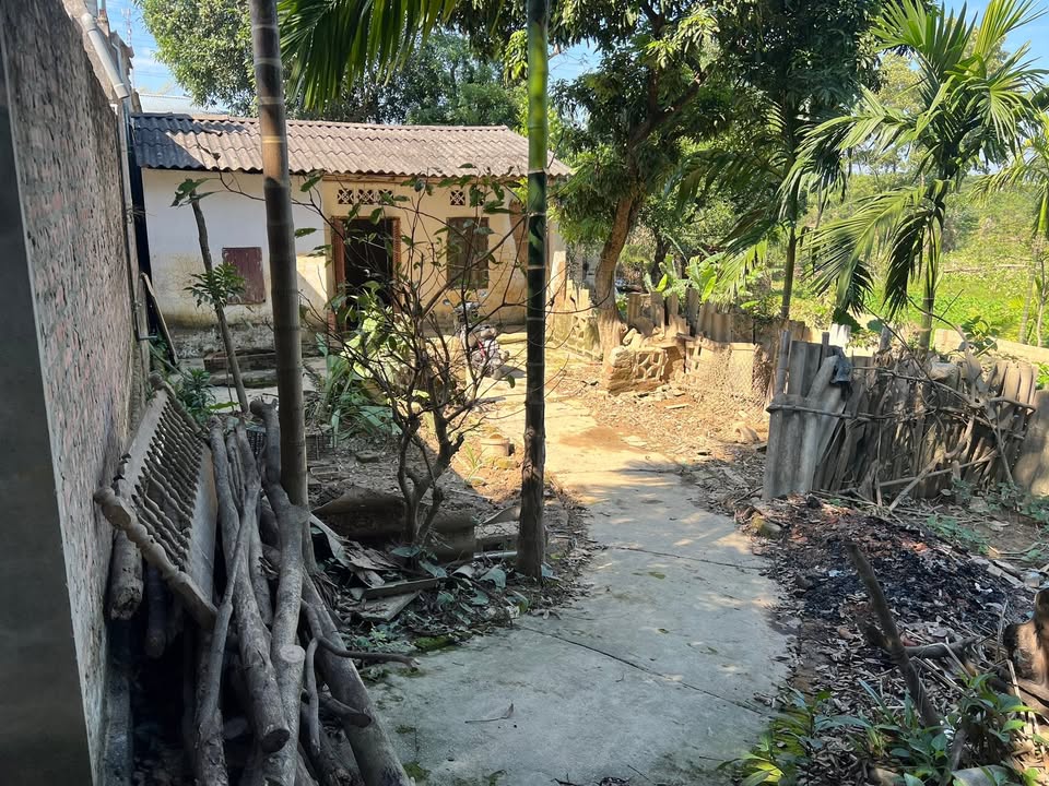 Nhà cho thuê tại phường Quan Triều 174m² giá chỉ 500k - Phù hợp cho sinh viên, công nhân