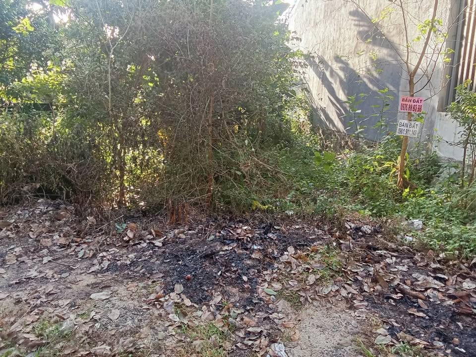 Đất nền mặt tiền hẻm Nguyễn Xuân Nguyên, phường Tân An, 138m² giá 1.699 tỷ - Sổ đỏ chính chủ!