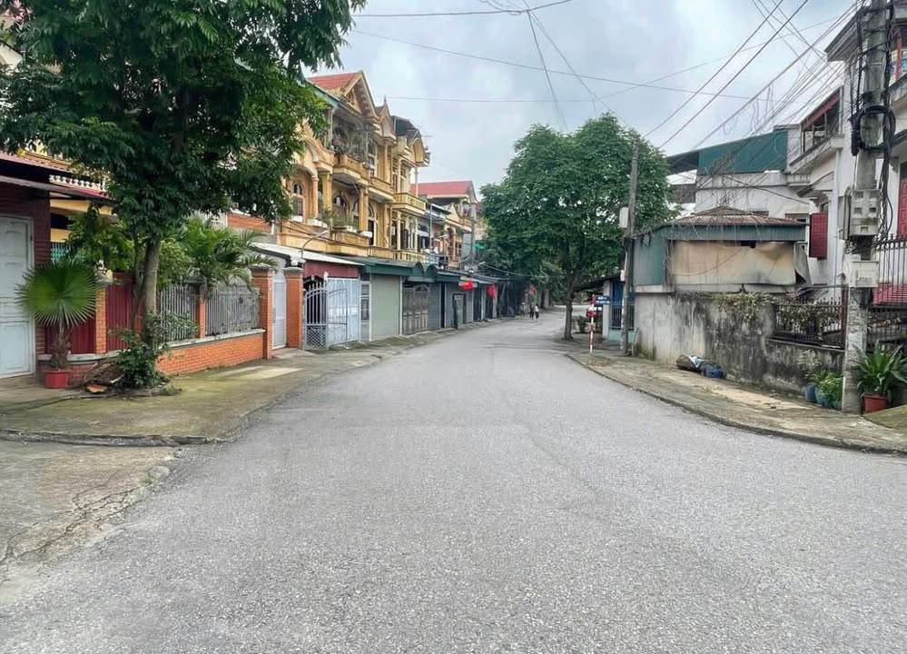 Đất nền trung tâm Phong Châu, Phú Thọ 1000m² giá 6 tỷ - Đầu tư lý tưởng!