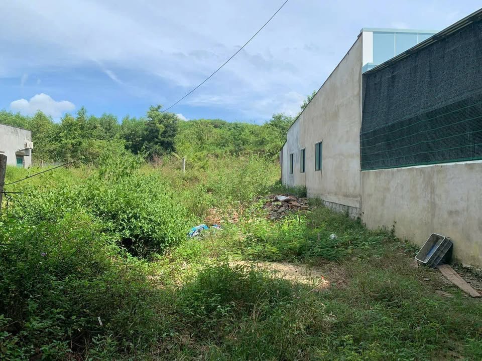 Đất nền Diên Xuân 357m² giá 749 triệu - Pháp lý đầy đủ, sẵn sàng xây dựng!