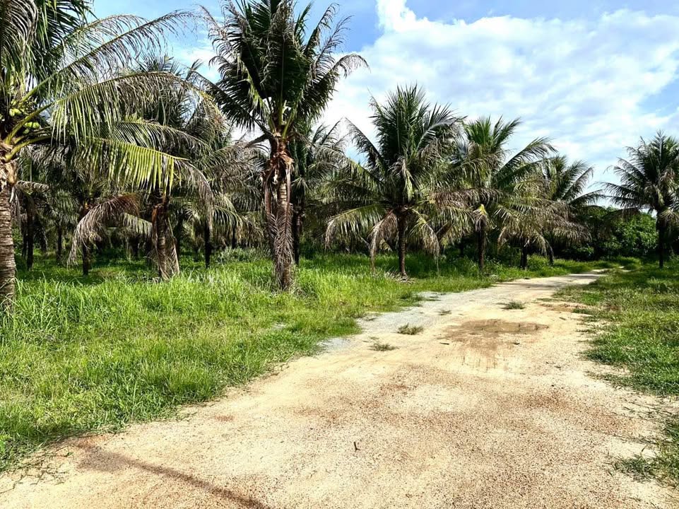 Đất vườn Suối Tiên Diên Khánh 2900m² giá 1.88 tỷ - Đầu tư lý tưởng!