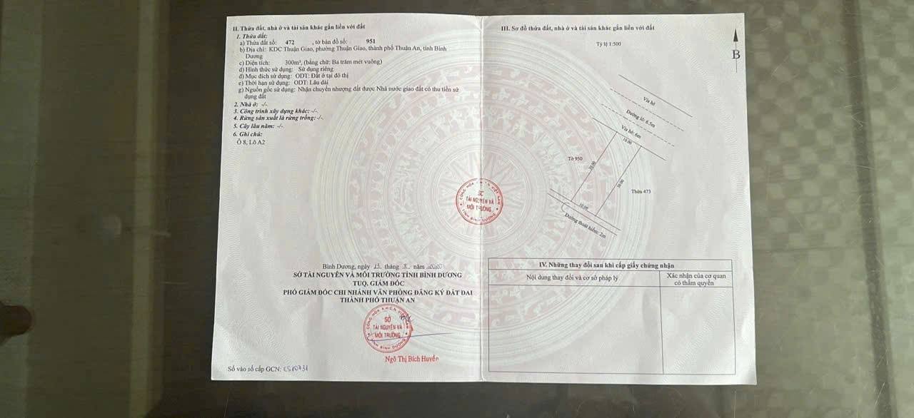 Đất KDC Thuận Giao, Thuận An, Bình Dương - Diện tích 297m², Giá 8.5 tỷ - Tiềm năng đầu tư lớn!