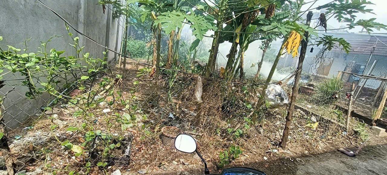 Đất thổ cư 126m² An Thạnh, Thuận An - Giá chỉ 1.58 tỷ!