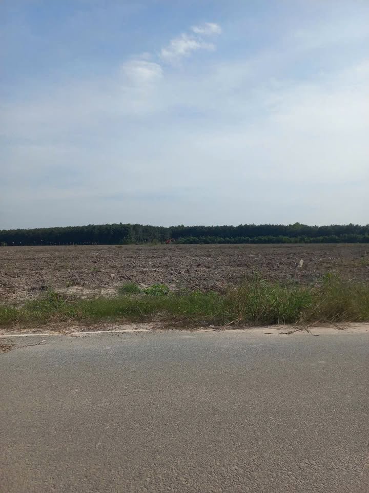 Đất nền Tân Lập - Bắc Tân Uyên 21ha giá 1.65 triệu/m² - Đầu tư sinh lời