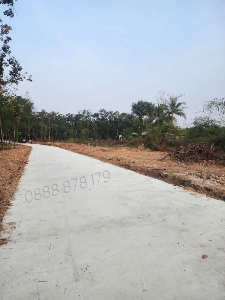 Đất nền Hòa Lợi Bến Cát 18.500m² giá 37 tỷ - Vị trí chiến lược tiềm năng sinh lời cao!