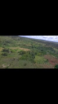 Farm 4ha tại Chư Prông, Gia Lai giá 5.2 tỷ - Đầu tư sinh lời từ cà phê