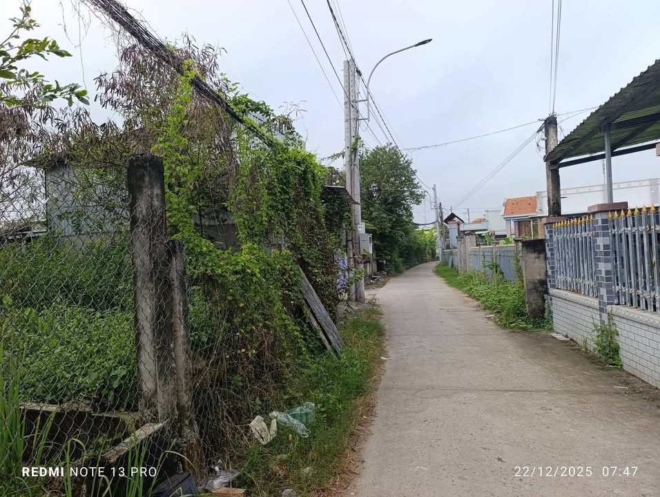 Lô đất thổ cư 110m² tại xã Tân Ân, Cần Đước - Giá chỉ 650 triệu!