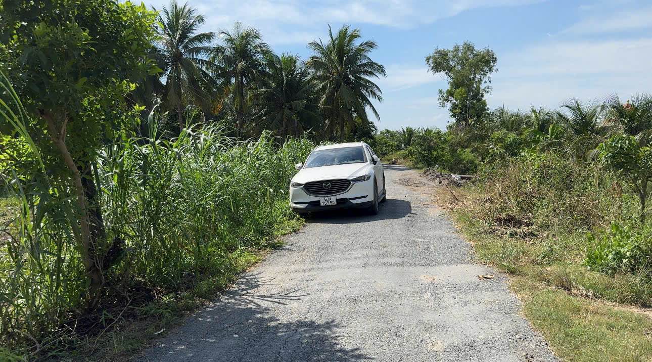 Đất lộ nhựa An Thạnh Thủy 127.5m² giá 290 triệu - Pháp lý rõ ràng, sổ hồng riêng!