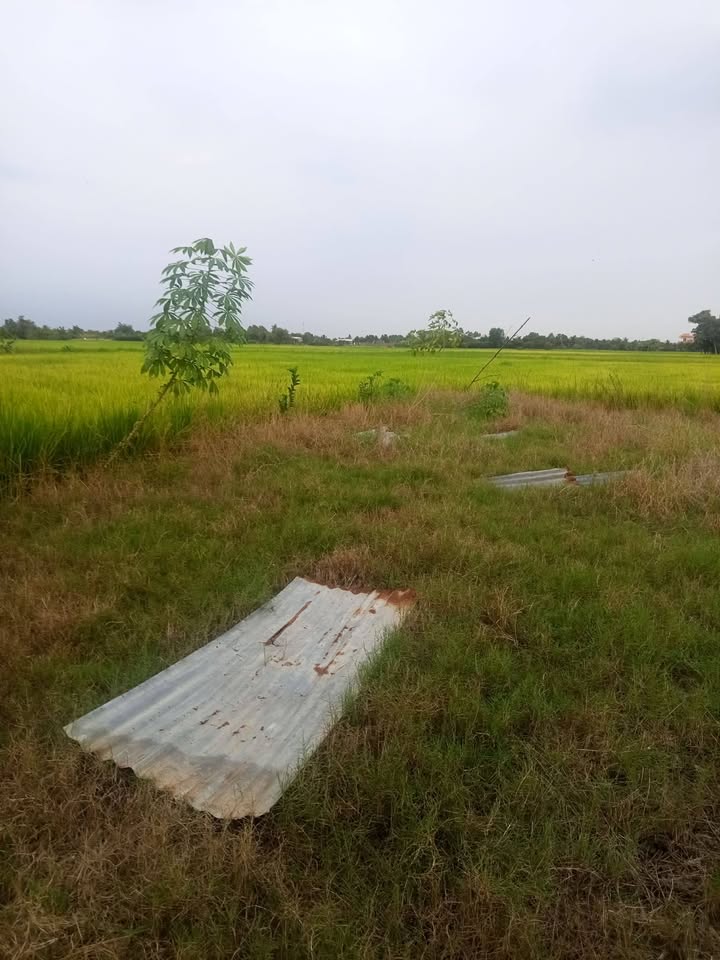 Đất nông nghiệp 3.624m² tại Thuận Thành, Cần Giuộc chỉ 2.9 tỷ - Đầu tư sinh lời ngay!