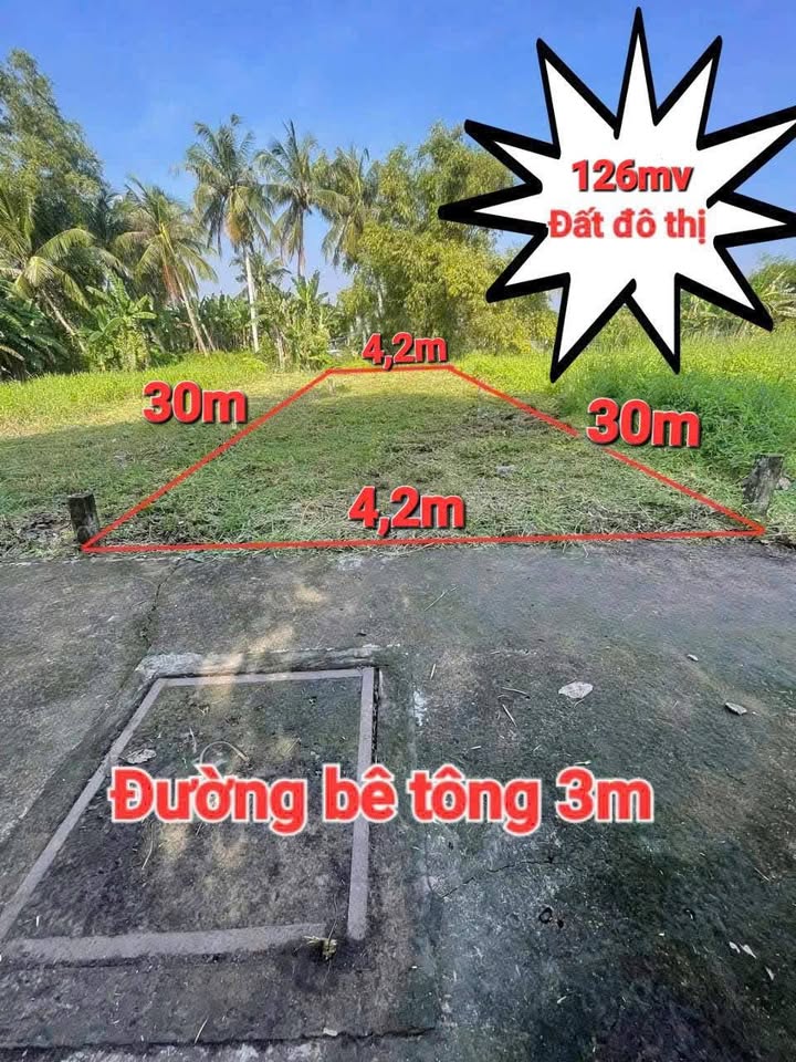 Đất thổ cư Cần Giuộc Long An 126m² giá 680 triệu - Sổ hồng riêng, đầu tư sinh lời!